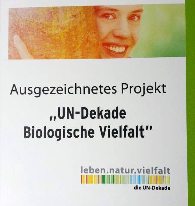 Auszeichnungstrophäe 2
