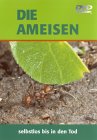 Die Ameisen - selbstlos bis in den Tod