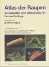 Atlas der Raupen europischer und asiatischer Schmetterlinge