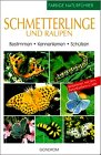 Schmetterlinge und Raupen