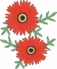 ... so gut aufgelst sehen wir Menschen mit Linsenaugen eine Blume!