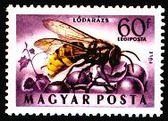 Hornisse  (Vespa crabro)  auf  einer  Briefmarke!