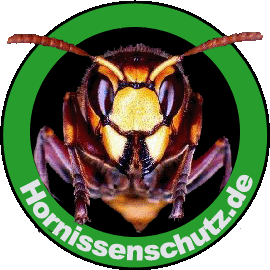 Hornissenschutz - Banner zum freien Download!