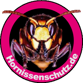 Hornissenschutz - Banner zum freien Download!