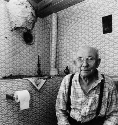 Hornissenvolk in einer Toilette