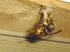 picture3