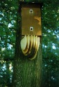 a  bee  colony likes  our hornet-box very much!