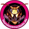 Hornissenschutz - Banner zum freien Download!