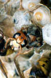 schlupf5