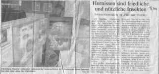 Westflische Nachrichten (Mnster) vom 13.07.2001