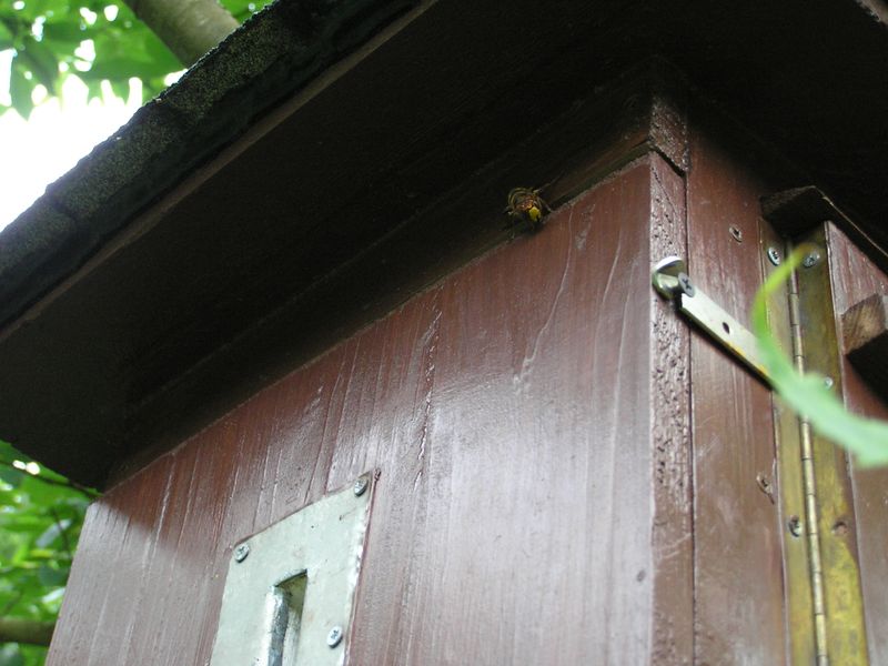 Foto von Stefan Dehren