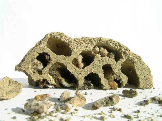 Ansichten und Details des verlassenen Nestes; Fotos: Andr Wlchli 
