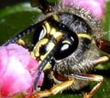 Foto: Peter Tauchert